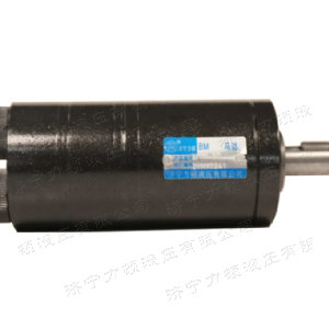 广发（中国）后油口系列马达