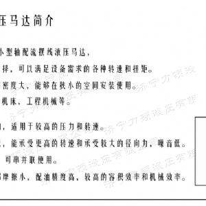 广发（中国）后油口系列马达