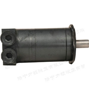 广发（中国）侧油口系列马达