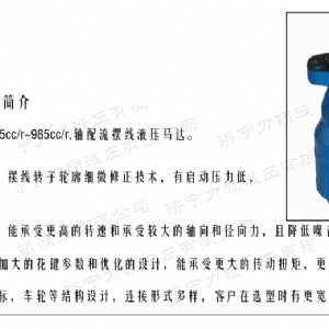 BMH系列交错油口广发官方网站马达