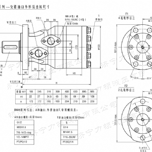 BMH系列交错油口广发官方网站马达